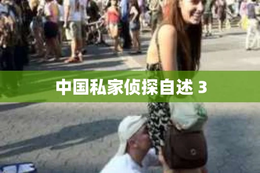 中国私家侦探自述 3
