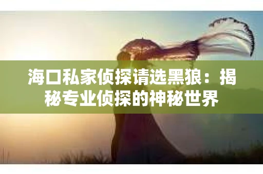 海口私家侦探请选黑狼：揭秘专业侦探的神秘世界