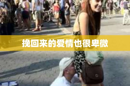 挽回来的爱情也很卑微