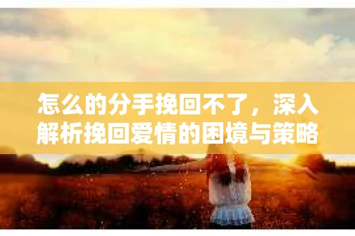 怎么的分手挽回不了，深入解析挽回爱情的困境与策略