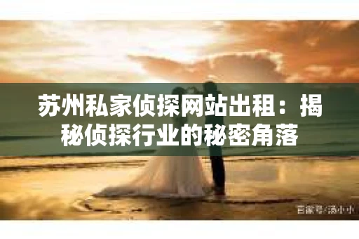 苏州私家侦探网站出租：揭秘侦探行业的秘密角落