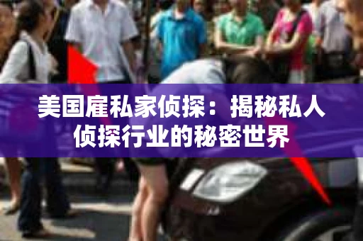 美国雇私家侦探：揭秘私人侦探行业的秘密世界