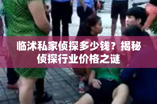 临沭私家侦探多少钱？揭秘侦探行业价格之谜