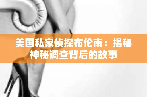 美国私家侦探布伦南：揭秘神秘调查背后的故事