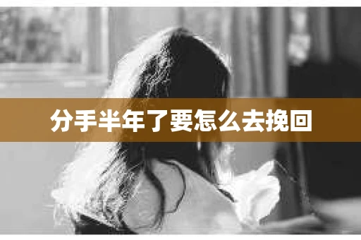 分手半年了要怎么去挽回