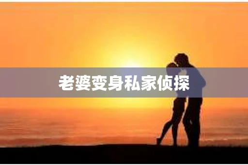 老婆变身私家侦探