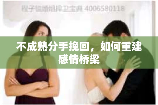不成熟分手挽回，如何重建感情桥梁