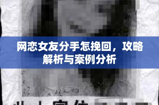 网恋女友分手怎挽回，攻略解析与案例分析