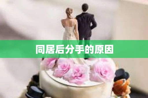 同居后分手的原因