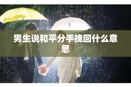 男生说和平分手挽回什么意思
