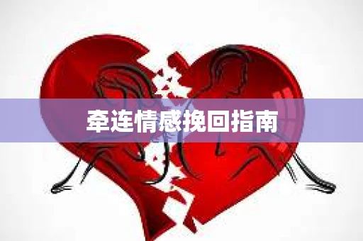 牵连情感挽回指南