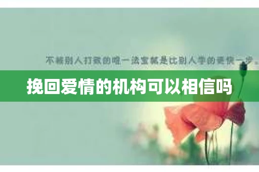 挽回爱情的机构可以相信吗