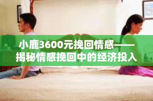 小鹿3600元挽回情感——揭秘情感挽回中的经济投入与价值