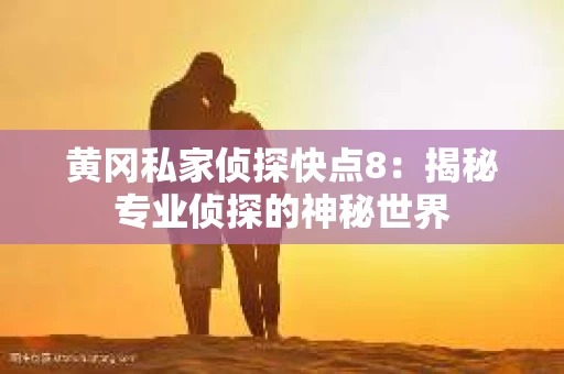 黄冈私家侦探快点8：揭秘专业侦探的神秘世界