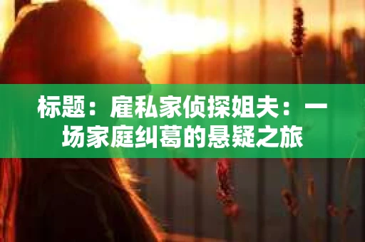 标题：雇私家侦探姐夫：一场家庭纠葛的悬疑之旅