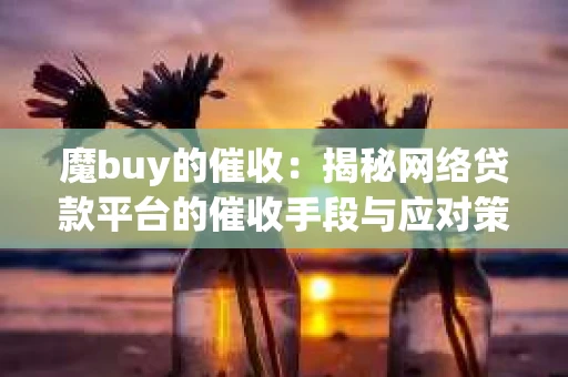 魔buy的催收：揭秘网络贷款平台的催收手段与应对策略