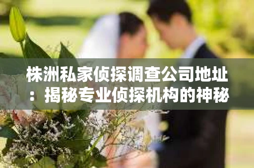 株洲私家侦探调查公司地址：揭秘专业侦探机构的神秘面纱