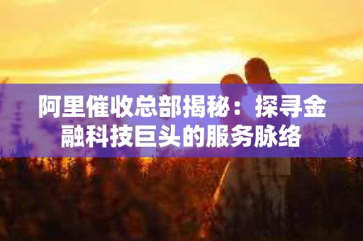 阿里催收总部揭秘：探寻金融科技巨头的服务脉络