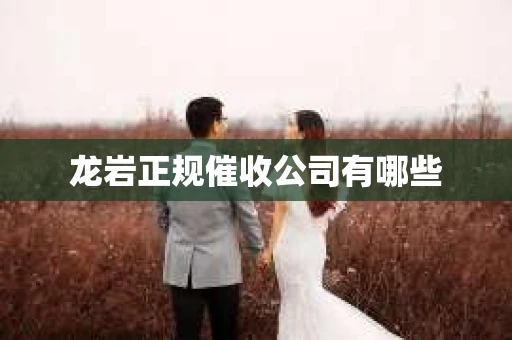 龙岩正规催收公司有哪些