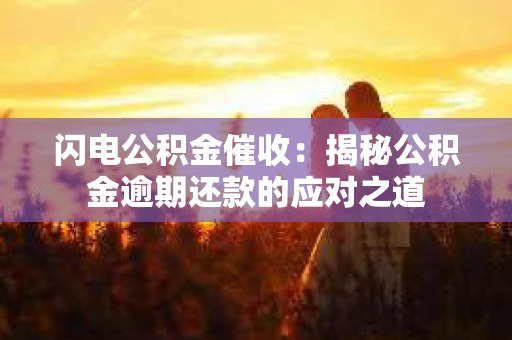 闪电公积金催收：揭秘公积金逾期还款的应对之道
