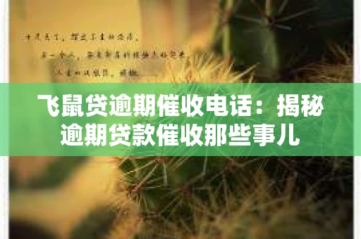 飞鼠贷逾期催收电话：揭秘逾期贷款催收那些事儿