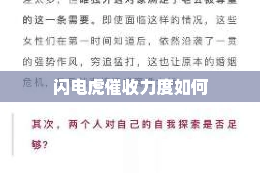 闪电虎催收力度如何