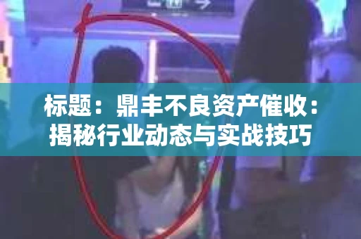 标题：鼎丰不良资产催收：揭秘行业动态与实战技巧