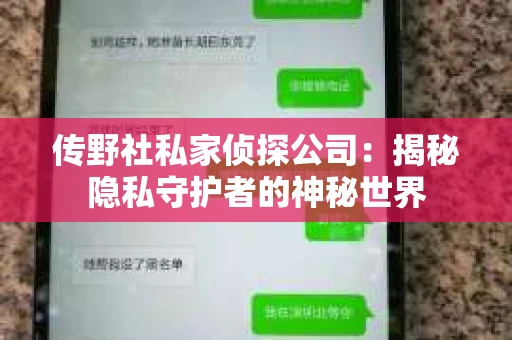 传野社私家侦探公司：揭秘隐私守护者的神秘世界