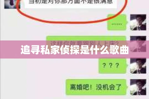 追寻私家侦探是什么歌曲