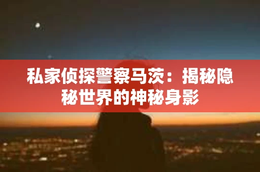 私家侦探警察马茨：揭秘隐秘世界的神秘身影
