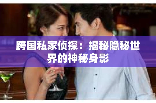 跨国私家侦探：揭秘隐秘世界的神秘身影