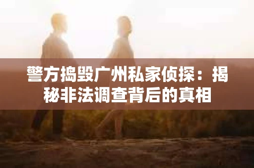 警方捣毁广州私家侦探：揭秘非法调查背后的真相
