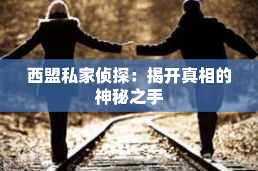 西盟私家侦探：揭开真相的神秘之手