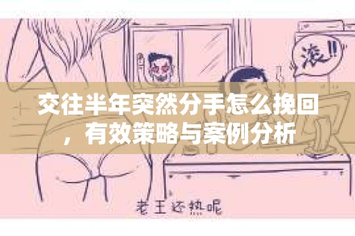 交往半年突然分手怎么挽回，有效策略与案例分析